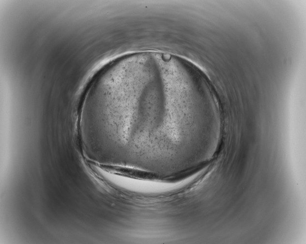 X0000087001507200704301347