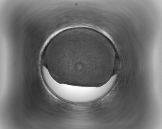 X0000087001508200704301347