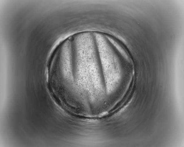 X0000087001509200704301347