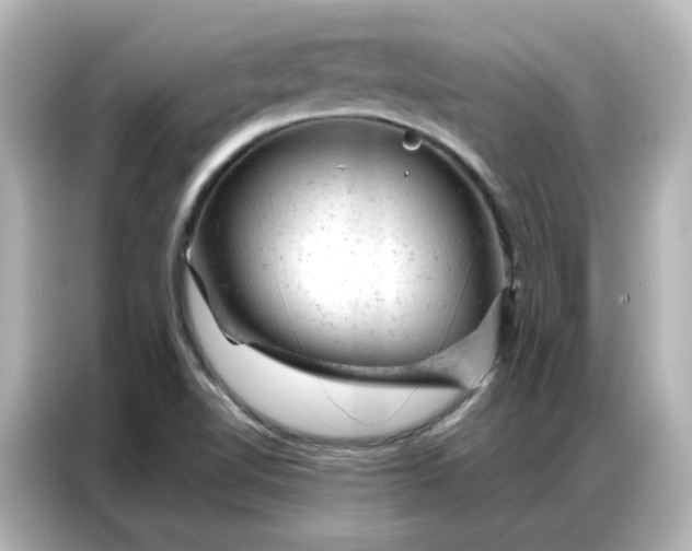 X0000087001510200704301347
