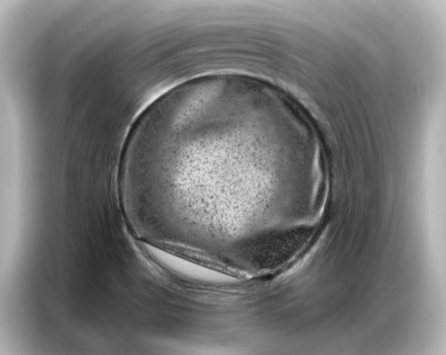 X0000087001513200704301347