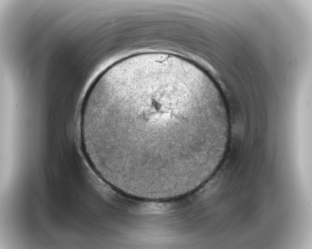 X0000087001514200704301347