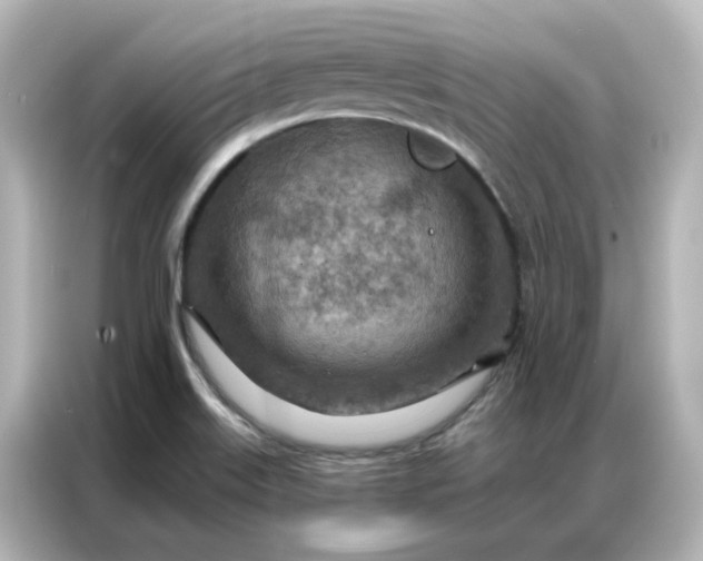 X0000087001515200704301347