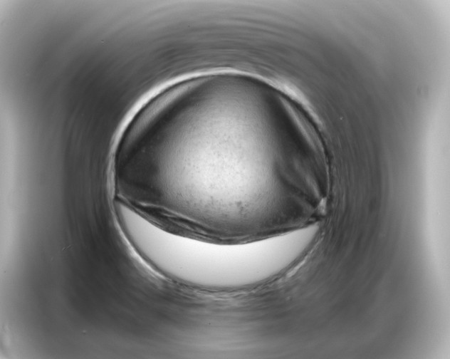 X0000087001516200704301347