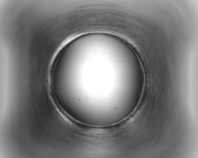 X0000087001517200704301347