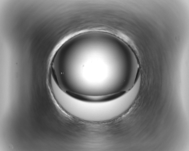 X0000087001520200704301347
