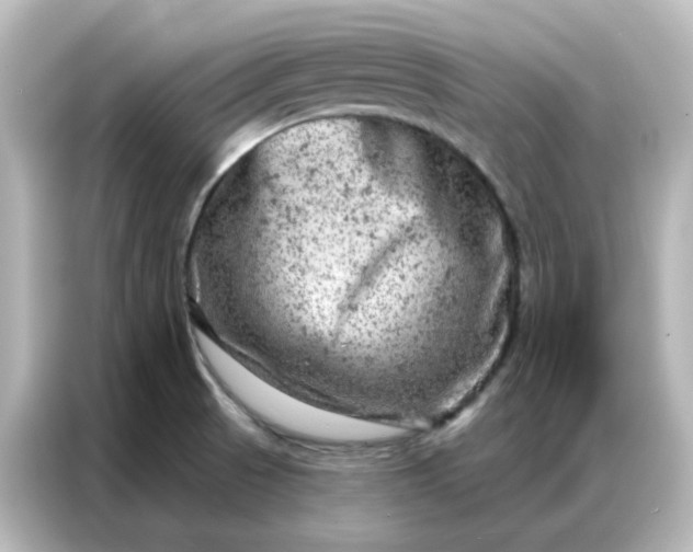 X0000087001521200704301347