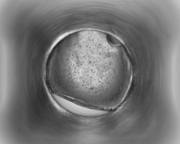 X0000087001523200704301347