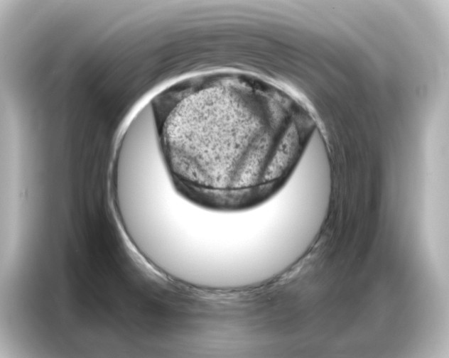 X0000087001524200704301347