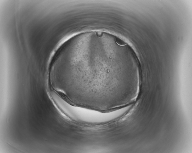 X0000087001525200704301347