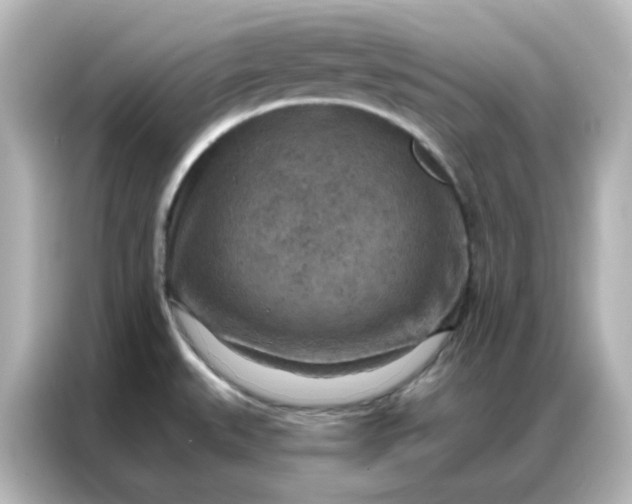 X0000087001527200704301347