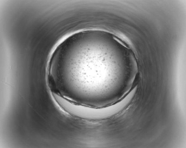 X0000087001528200704301347