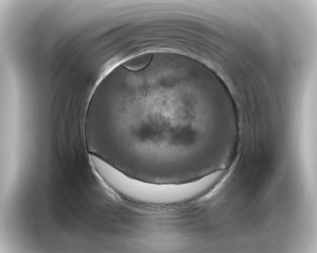 X0000087001529200704301347