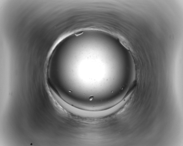 X0000087001530200704301347