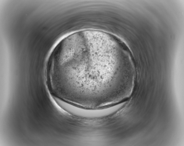 X0000087001531200704301347