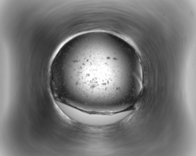 X0000087001532200704301347