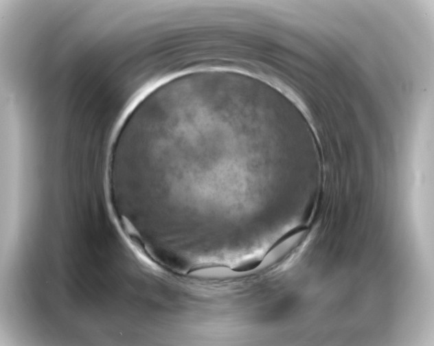 X0000087001533200704301347