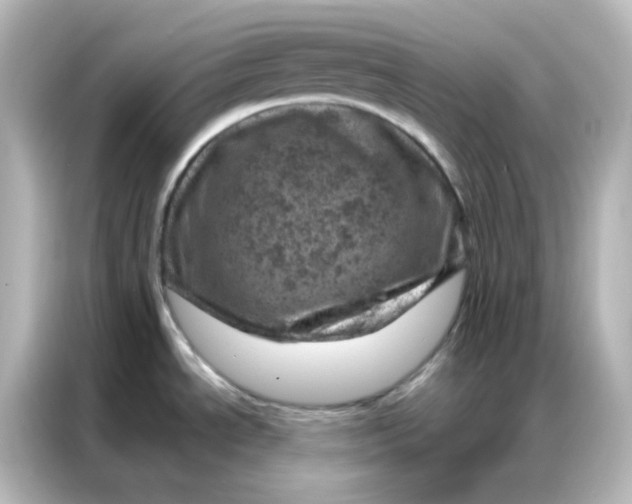X0000087001534200704301347