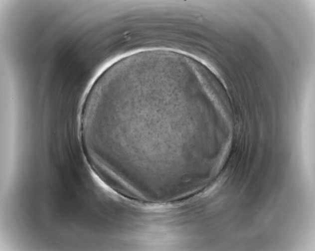 X0000087001535200704301347