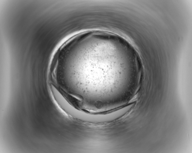 X0000087001536200704301347