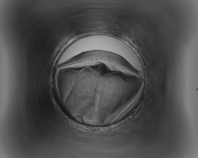 X0000087000002200705071515