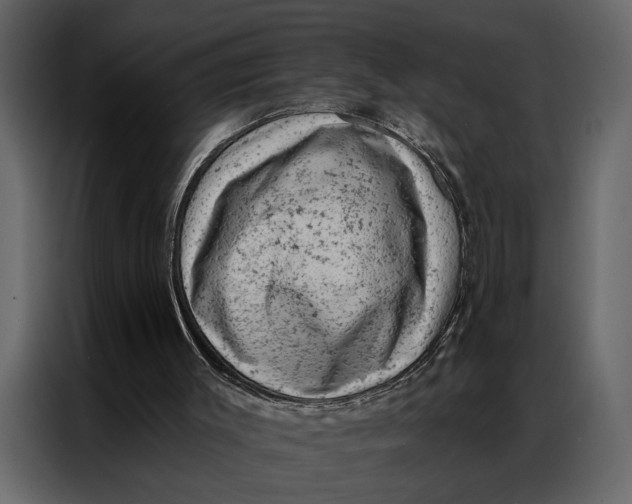 X0000087000003200705071515