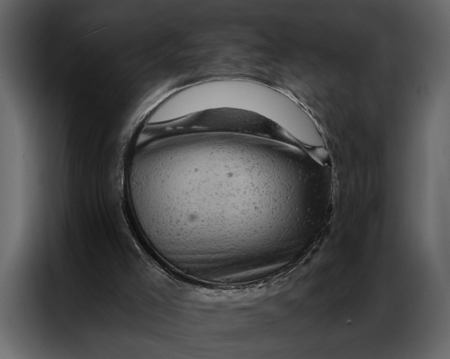 X0000087000005200705071515