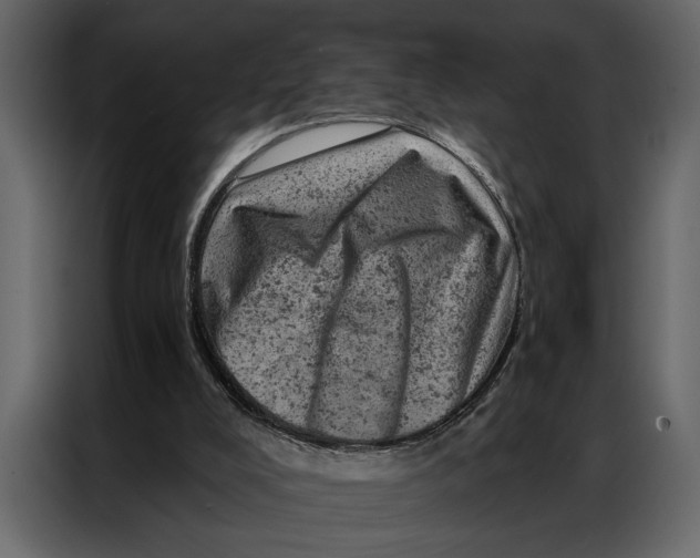 X0000087000008200705071515