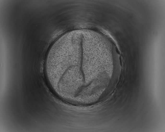 X0000087000010200705071515