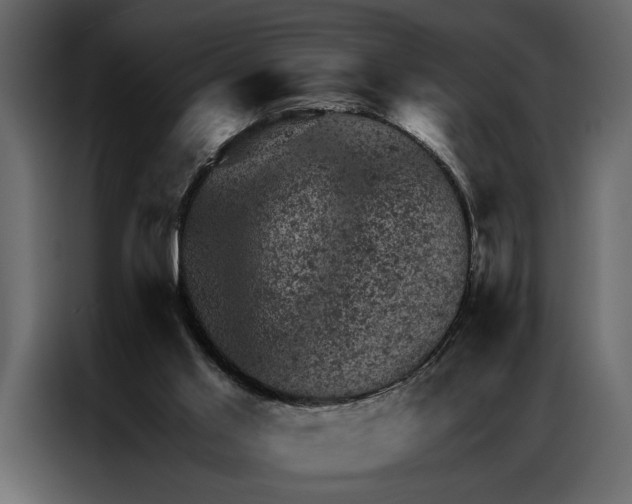 X0000087000013200705071515