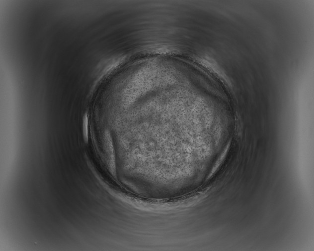 X0000087000014200705071515