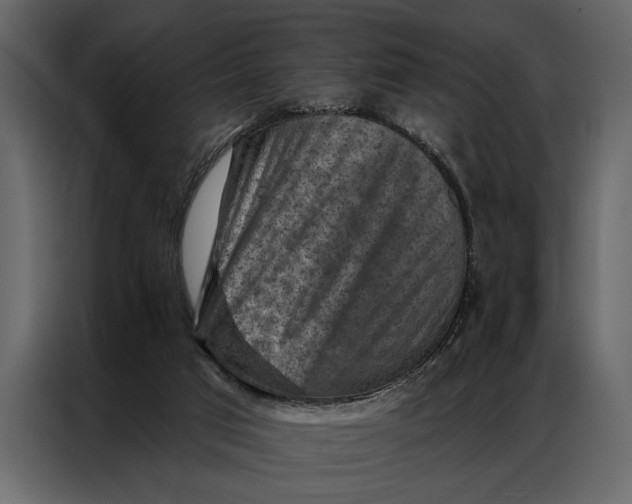 X0000087000017200705071515