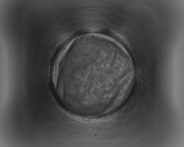 X0000087000018200705071515