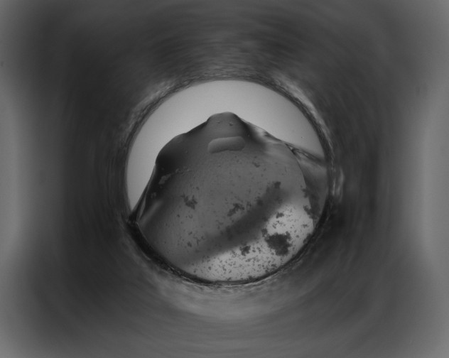 X0000087000019200705071515