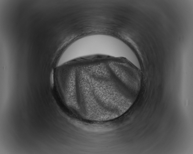 X0000087000020200705071515