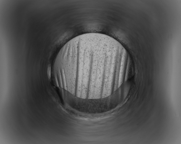 X0000087000021200705071515