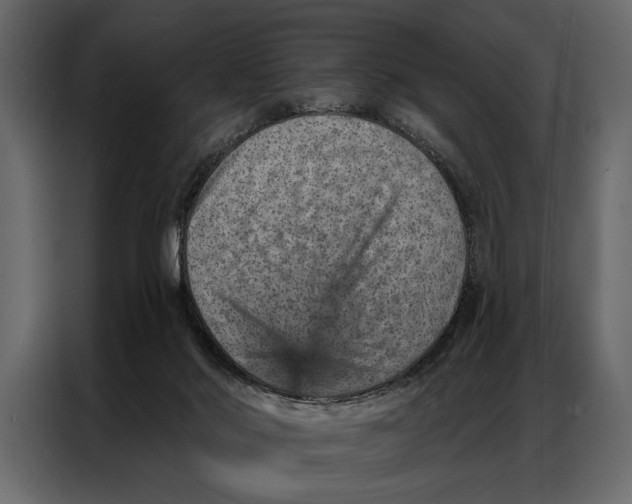 X0000087000022200705071515