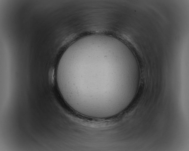 X0000087000024200705071515