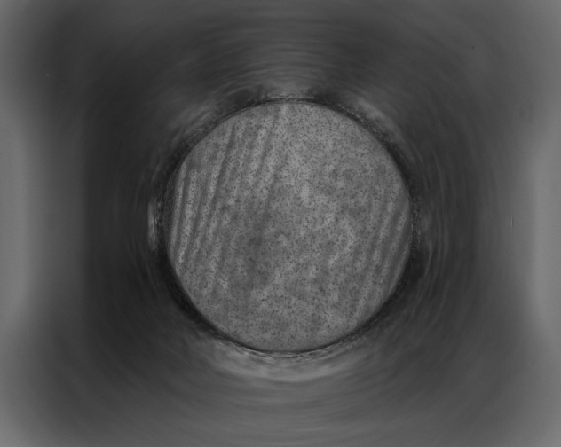 X0000087000026200705071515