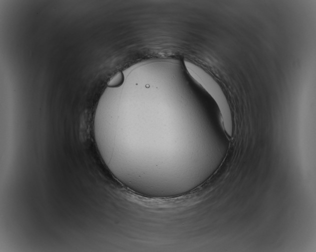 X0000087000030200705071515