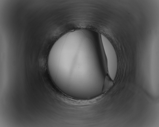 X0000087000031200705071515