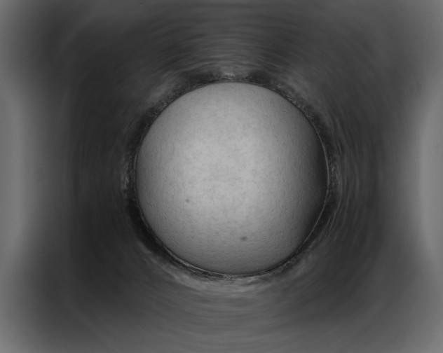 X0000087000032200705071515