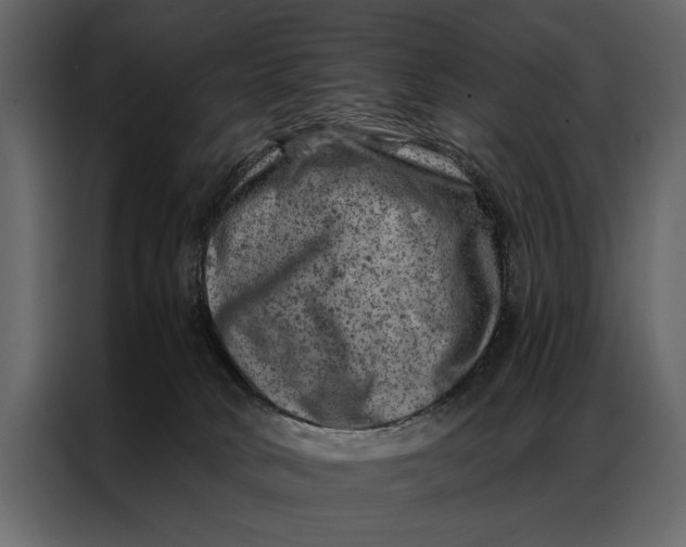 X0000087000034200705071515