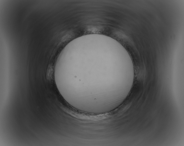 X0000087000036200705071515