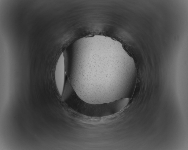 X0000087000037200705071515