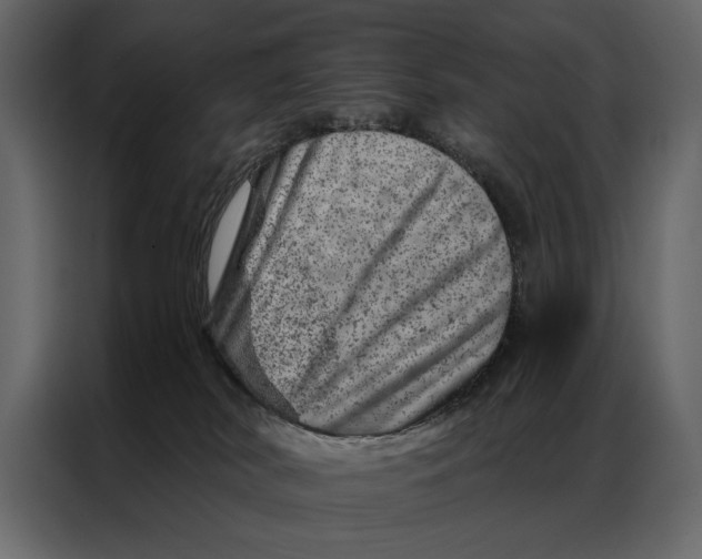 X0000087000038200705071515