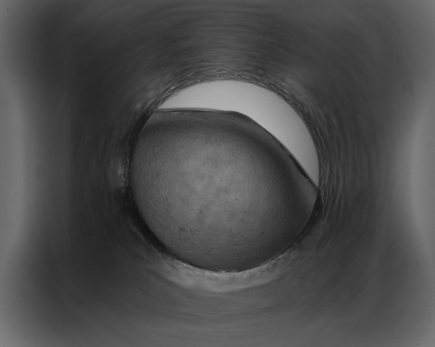 X0000087000039200705071515