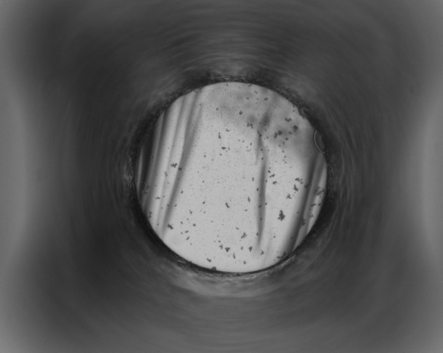 X0000087000040200705071515