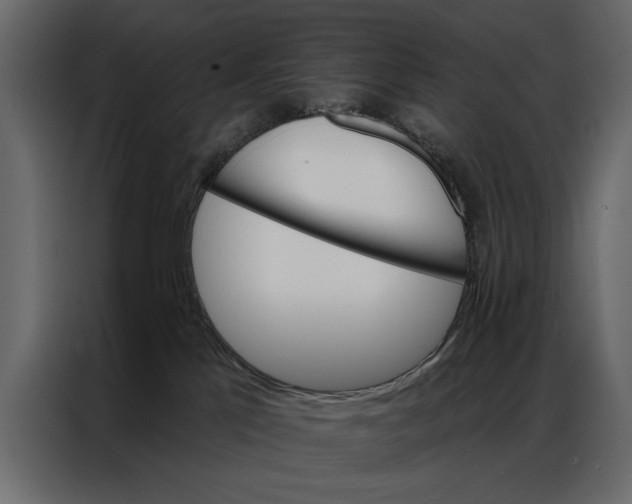 X0000087000041200705071515