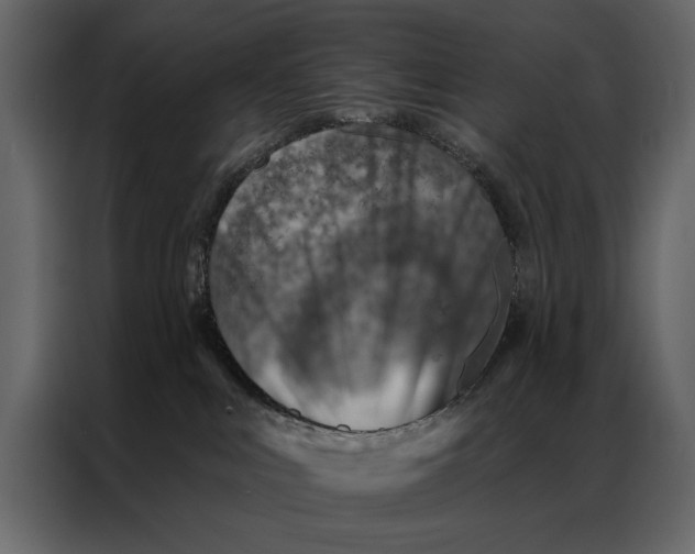 X0000087000043200705071515